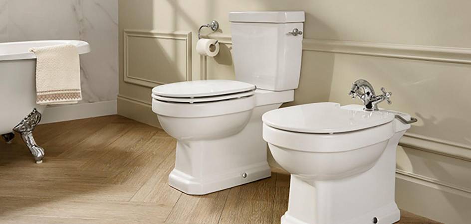 IDEAS TO BUY A TOILET